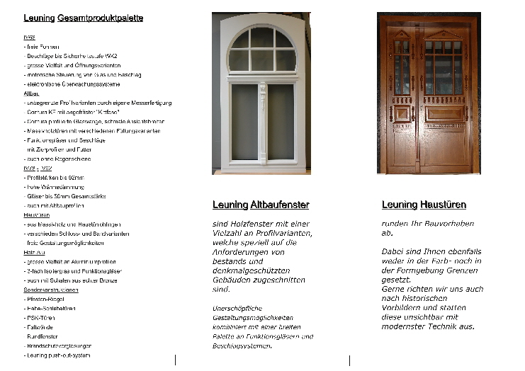Flyer Altbau modern3 Leuning-Seite002
